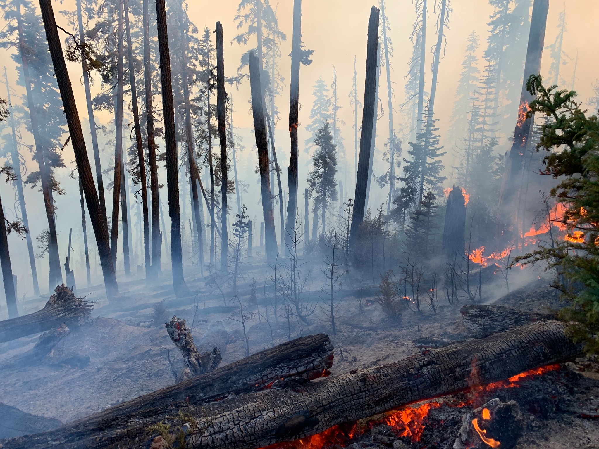 TWELVE FIRES TOTALING 2,385 ACRES IN UMPQUA NATIONAL FOREST – KQEN News ...