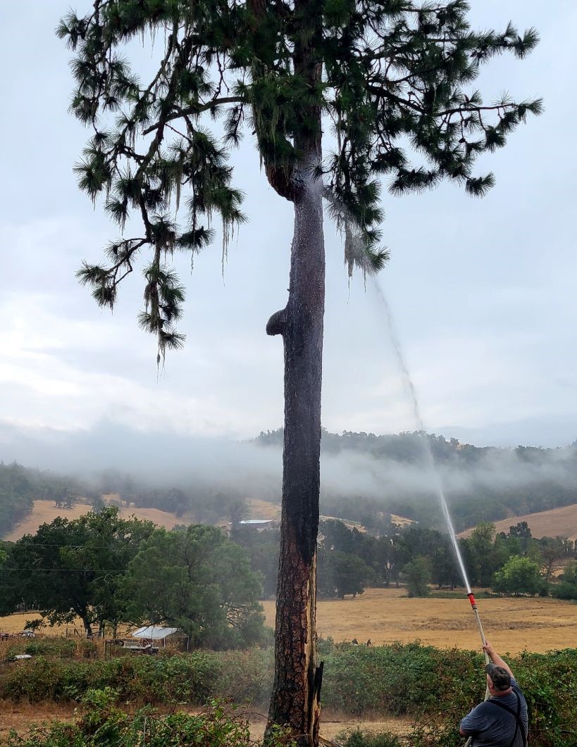 DFPA TEAMS RESPOND TO LIGHTNING CAUSED FIRES – KQEN News Radio